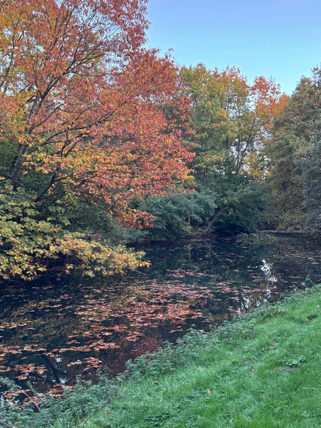 Soms staat de wereld even&nbsp;stil.